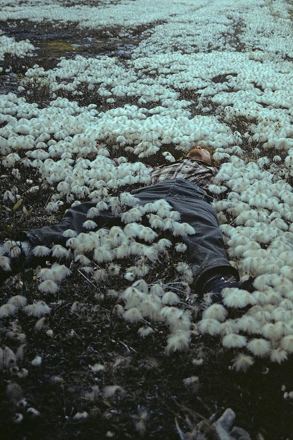 1981C00711, ©Tim Medley