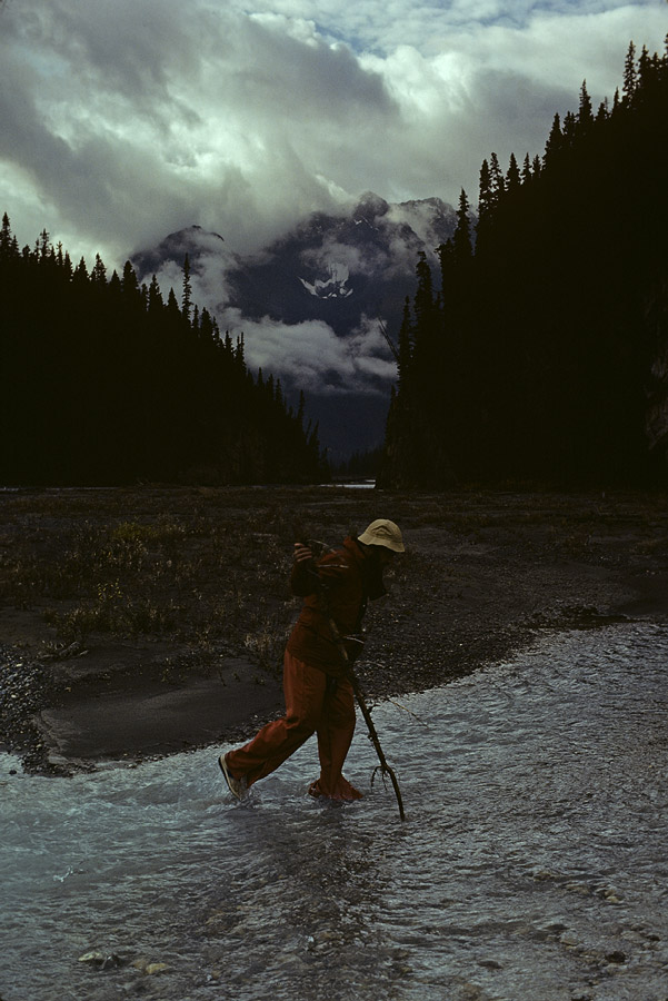 1982C00336 ©Tim Medley