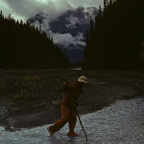 1982C00336.jpg
