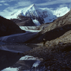 1982C00515.jpg