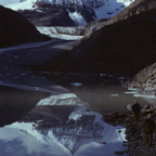 1982C00520.jpg