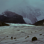 1982C00531.jpg