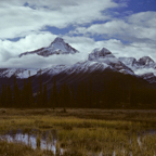 1982C00718.jpg