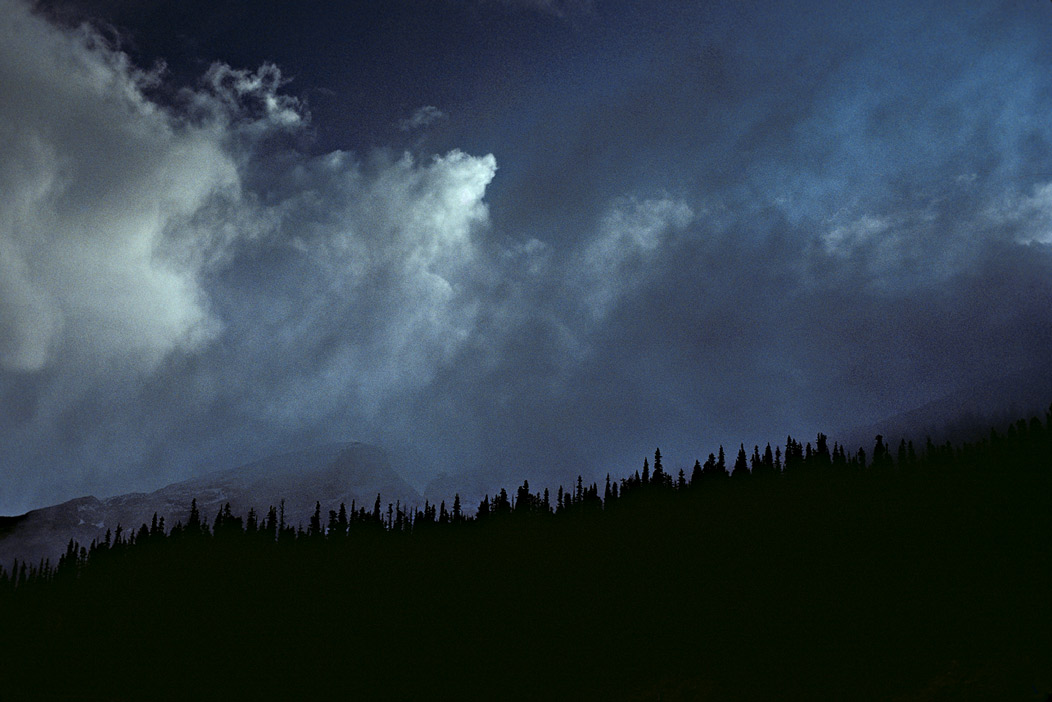 1982C00821 ©Tim Medley