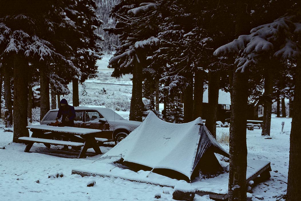 1982C00828 ©Tim Medley