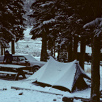 1982C00828.jpg
