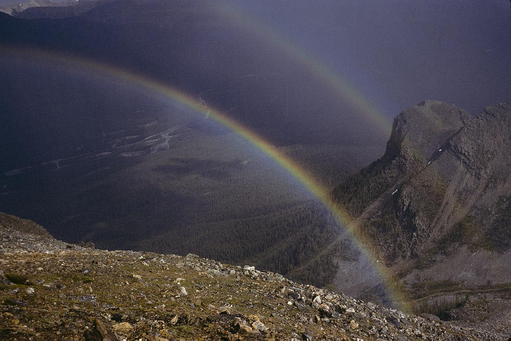 1983C00313, ©Tim Medley