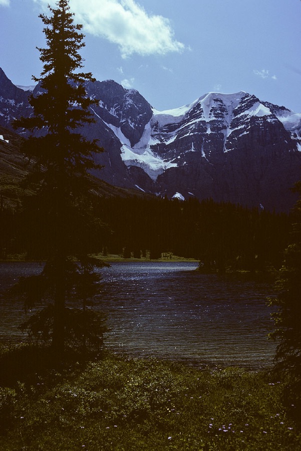 1983C00513, ©Tim Medley