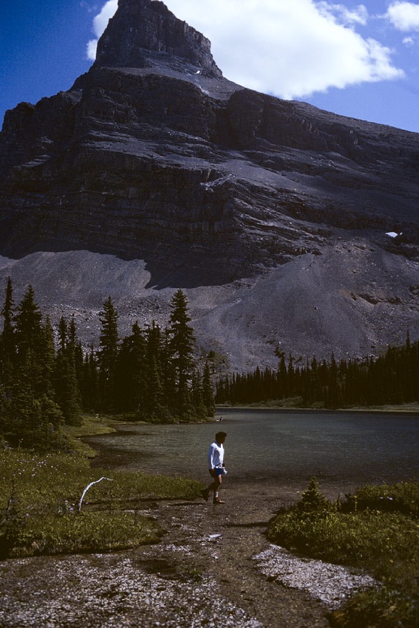 1983C00514, ©Tim Medley