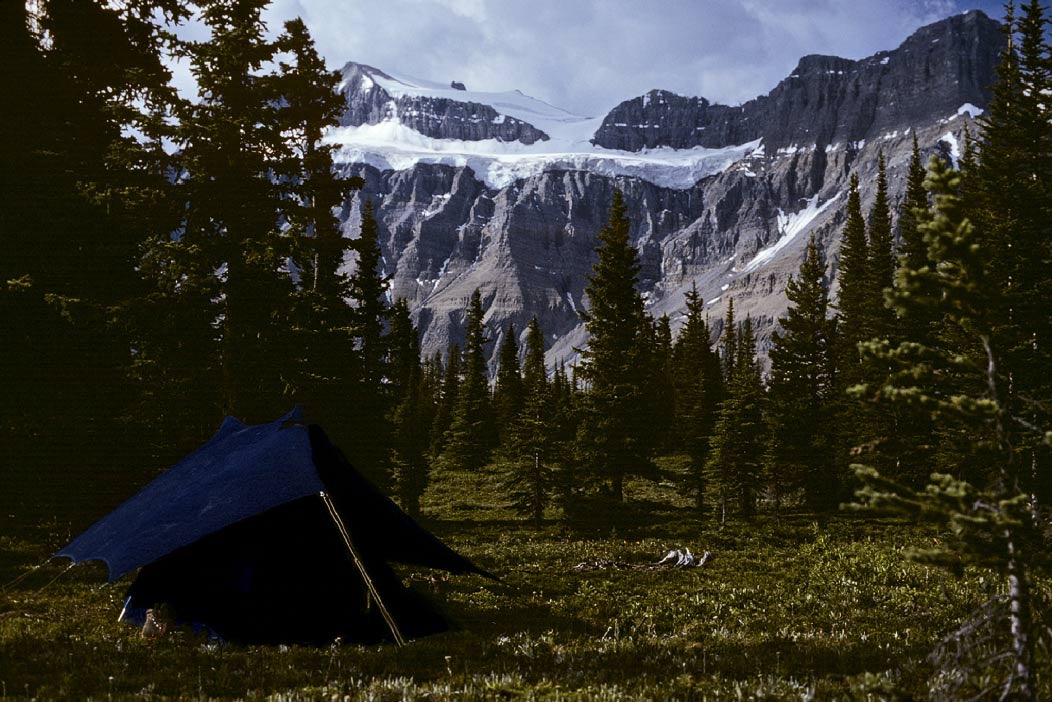 1983C00528, ©Tim Medley