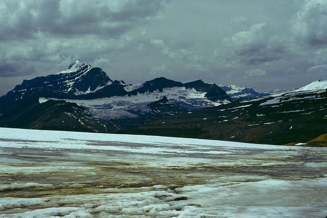 1983C00606, ©Tim Medley