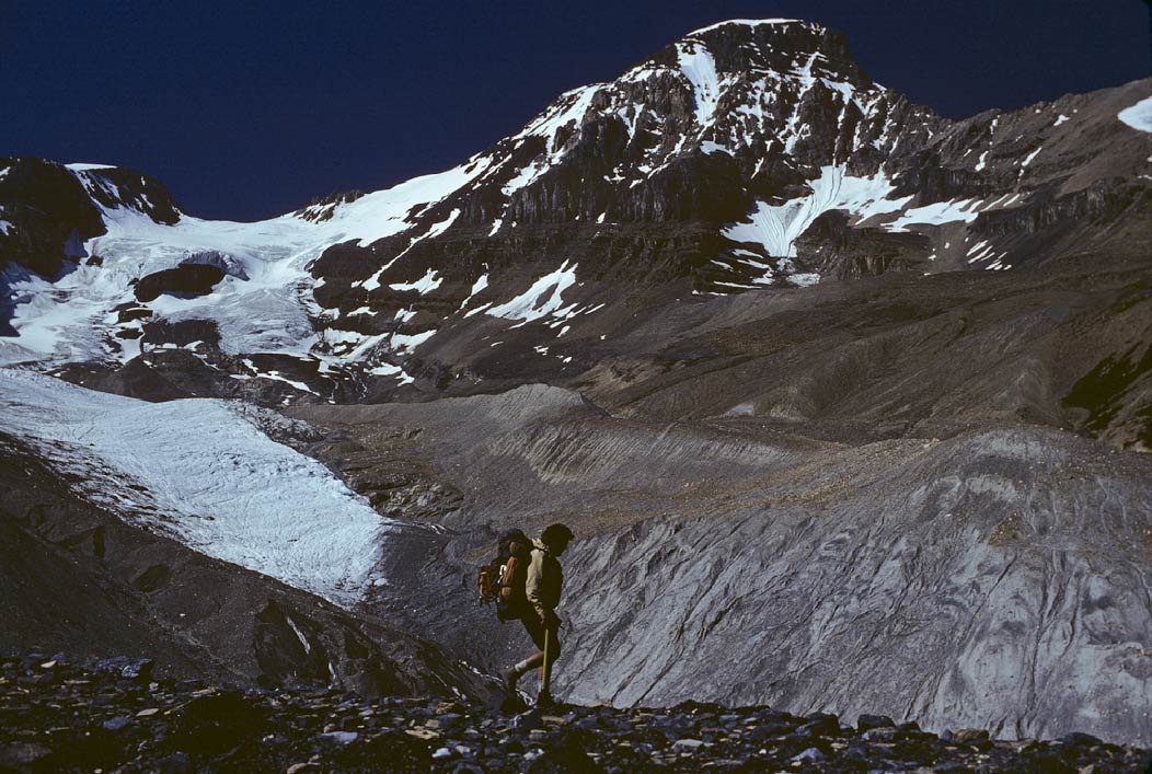 1983C00710, ©Tim Medley