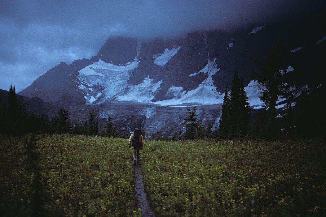 1983C00828, ©Tim Medley