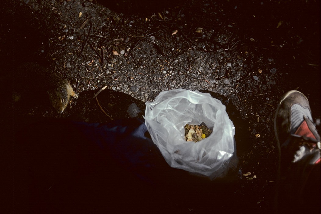 1983C00902, ©Tim Medley