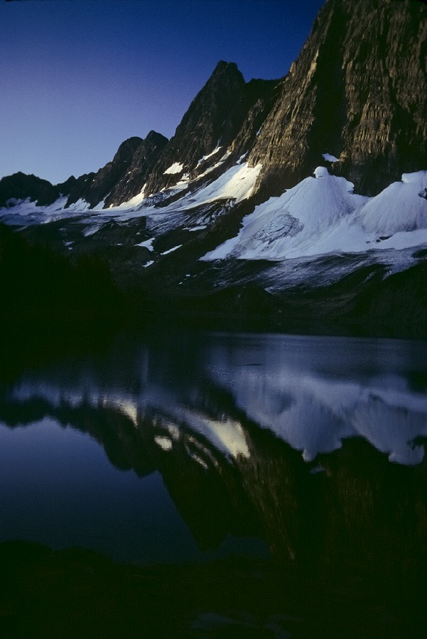 1983C01006, ©Tim Medley