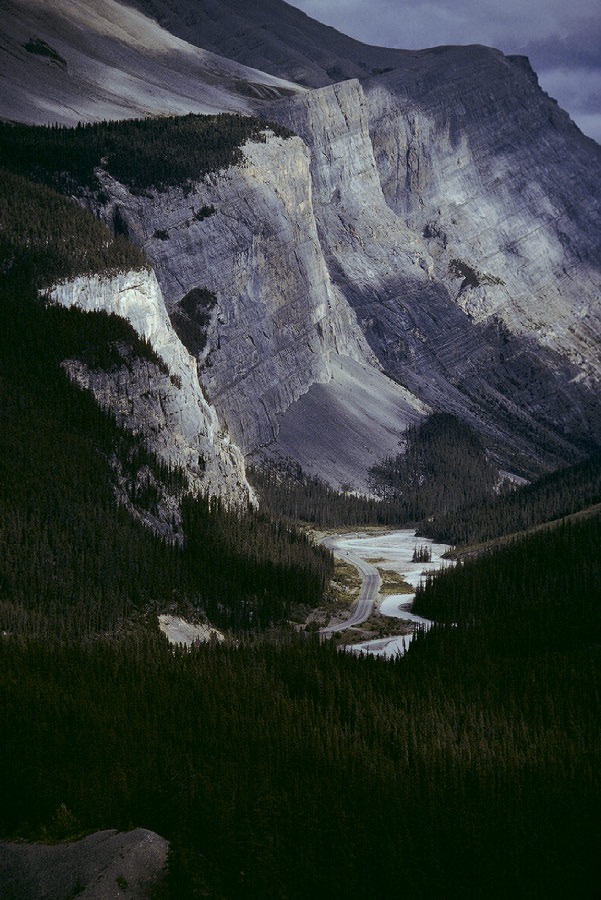 1983C01034, ©Tim Medley