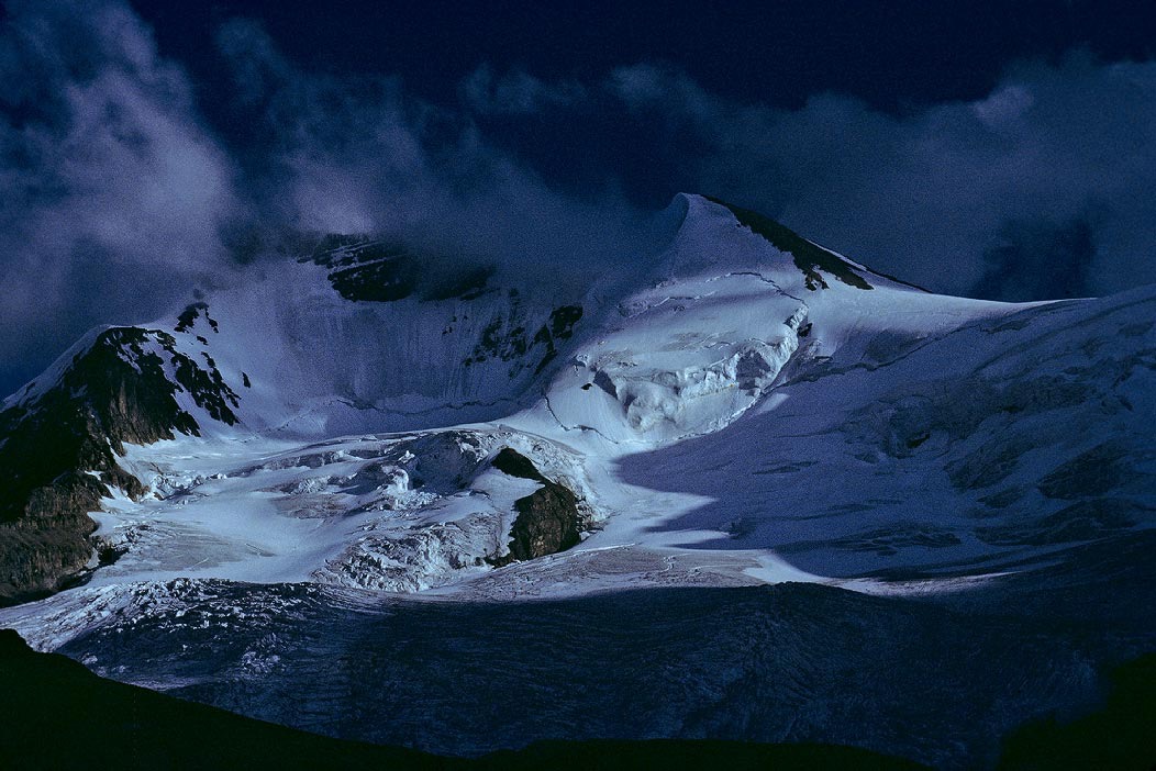 1983C01106, ©Tim Medley