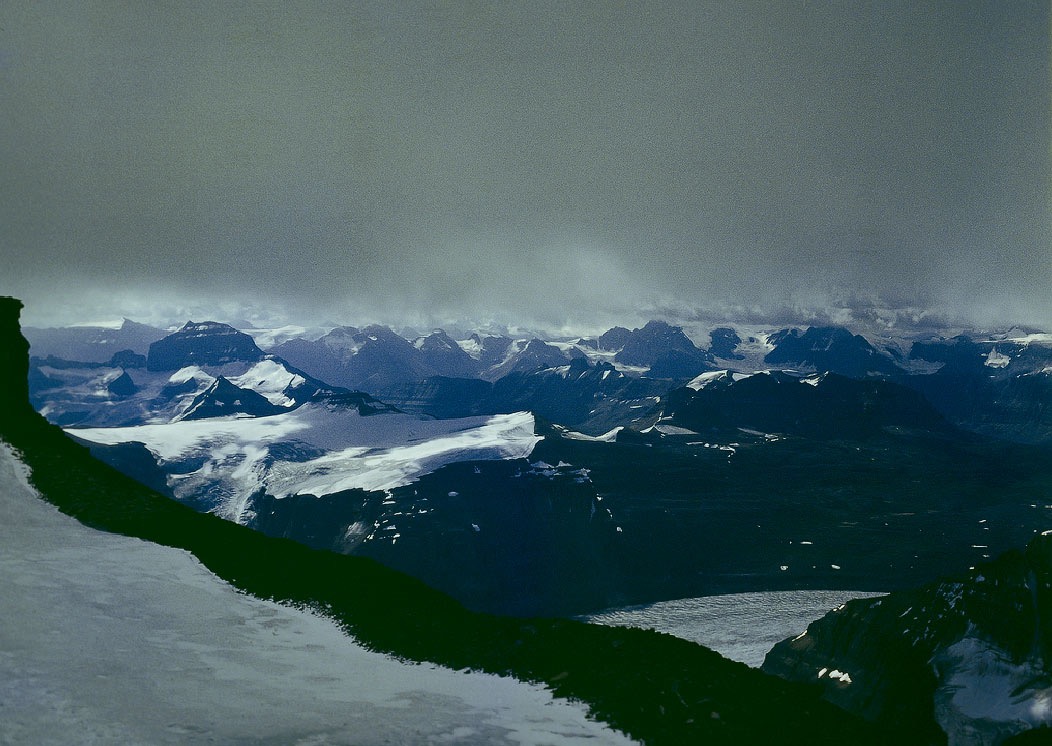 1983C01137, ©Tim Medley