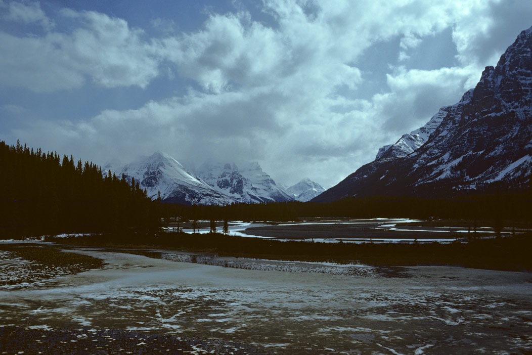 1984C00203, ©Tim Medley