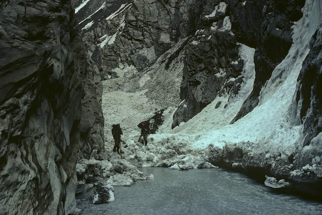 1984C00306, ©Tim Medley