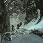 1984C00306.jpg