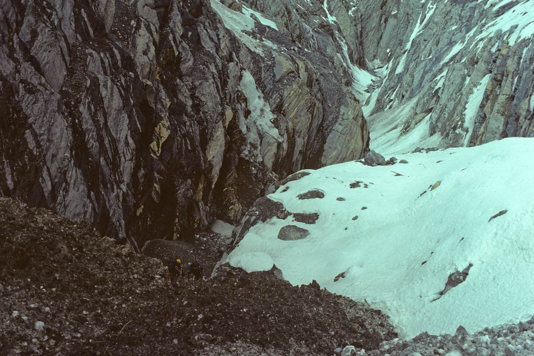1984C00308, ©Tim Medley