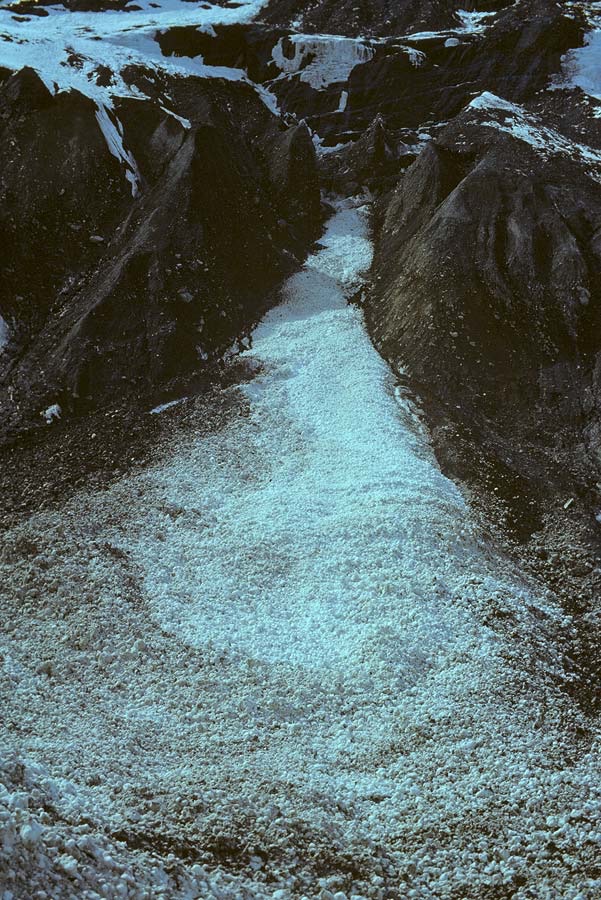 1984C00310, ©Tim Medley