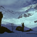 1984C00318.jpg