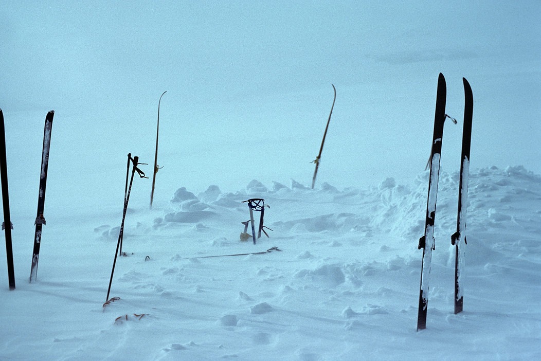 1984C00325, ©Tim Medley