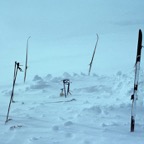 1984C00325.jpg