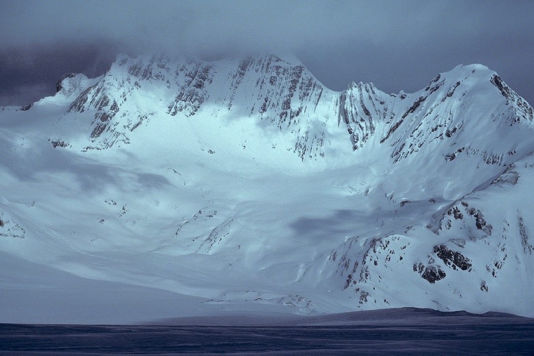 1984C00330, ©Tim Medley