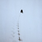 1984C00333.jpg