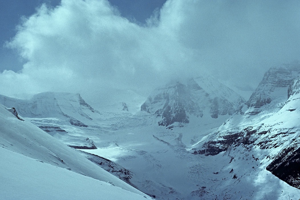 1984C00406, ©Tim Medley