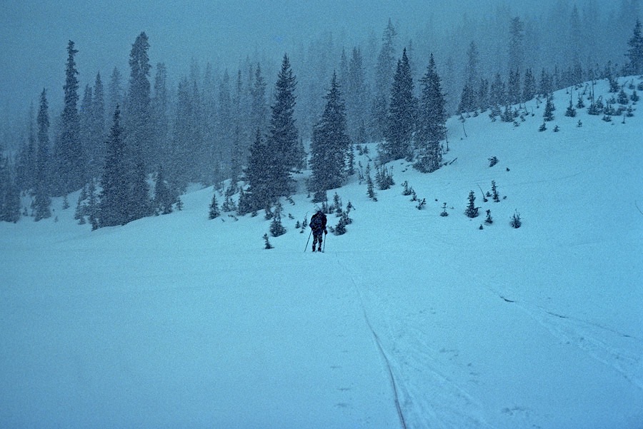 1984C00410, ©Tim Medley