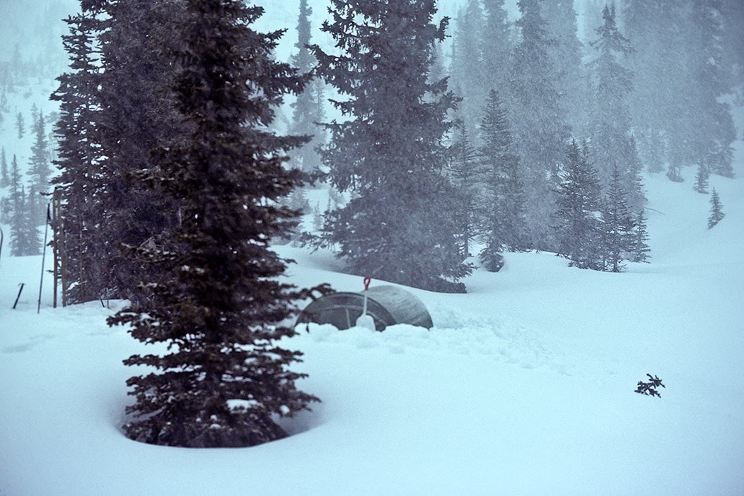 1984C00414, ©Tim Medley