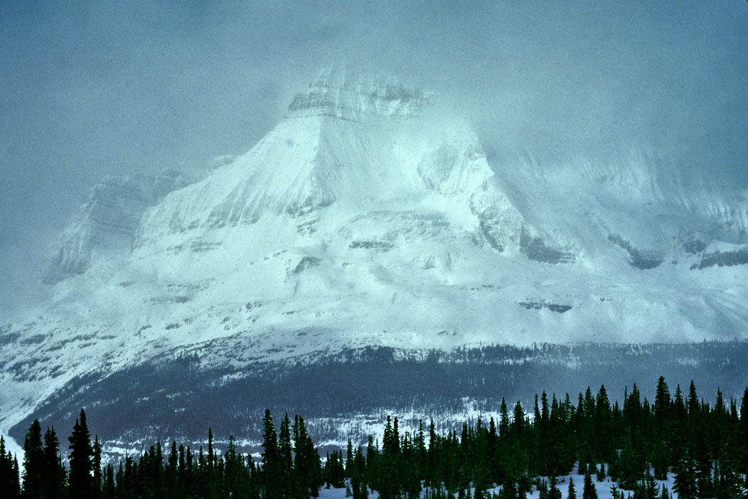 1984C00510, ©Tim Medley