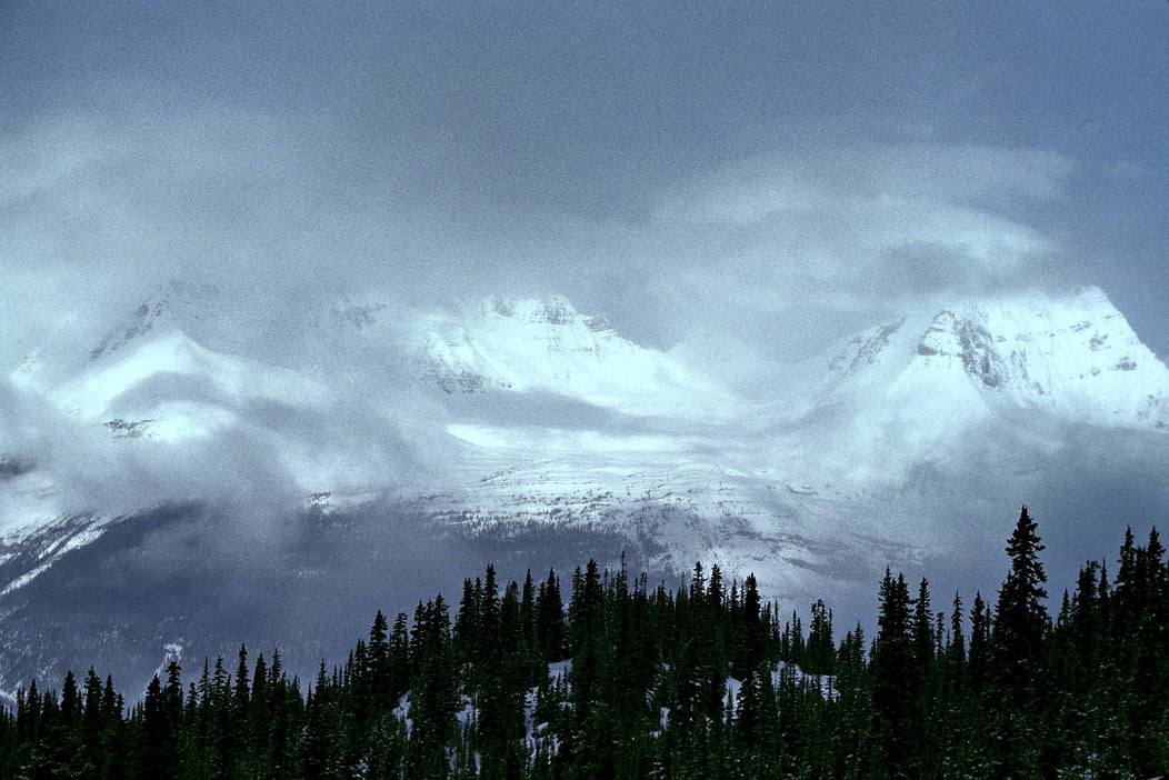 1984C00511, ©Tim Medley