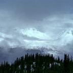 1984C00511.jpg