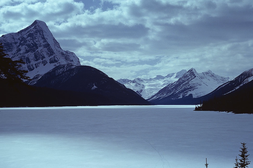 1984C00706, ©Tim Medley