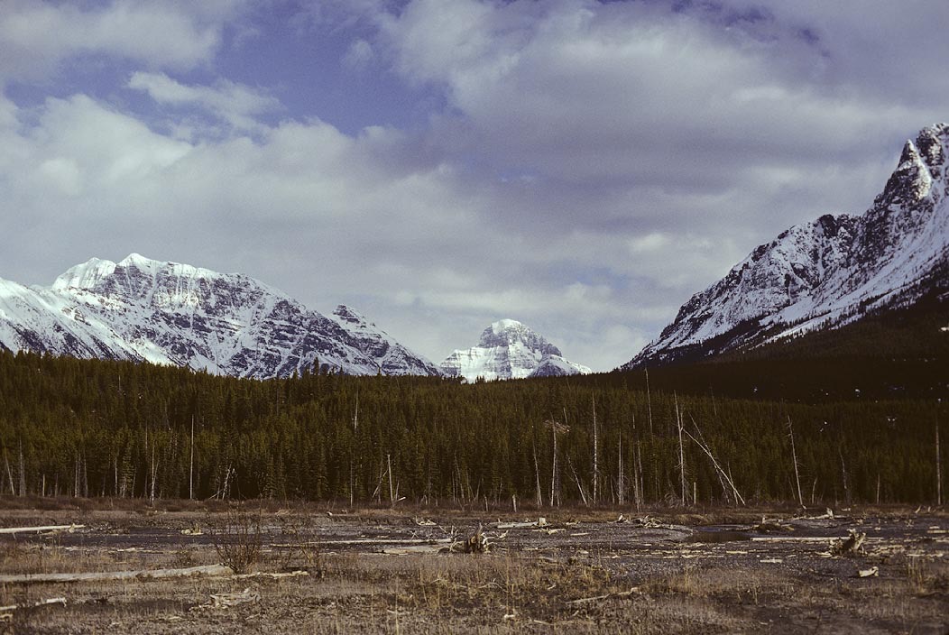1984C00714, ©Tim Medley