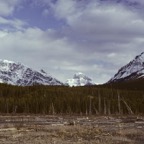 1984C00714.jpg