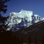 1984C00723.jpg