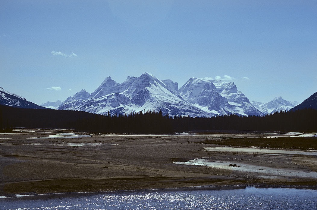 1984C00735, ©Tim Medley