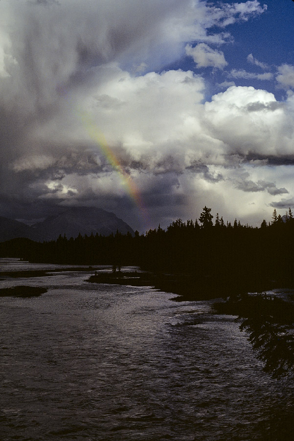 198507W3G20, ©Tim Medley