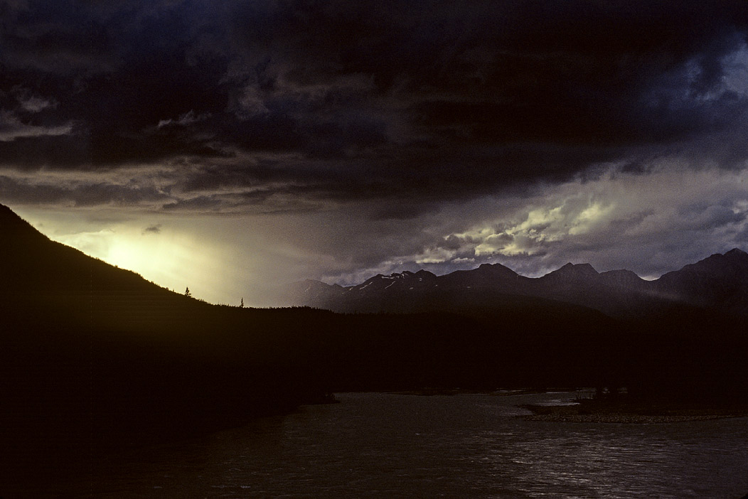 198507W3G21, ©Tim Medley