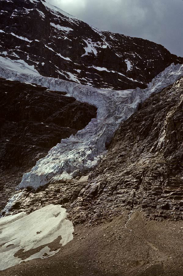 198507W3G25, ©Tim Medley