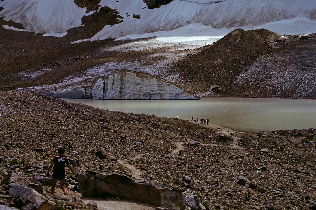 198507W3G31, ©Tim Medley