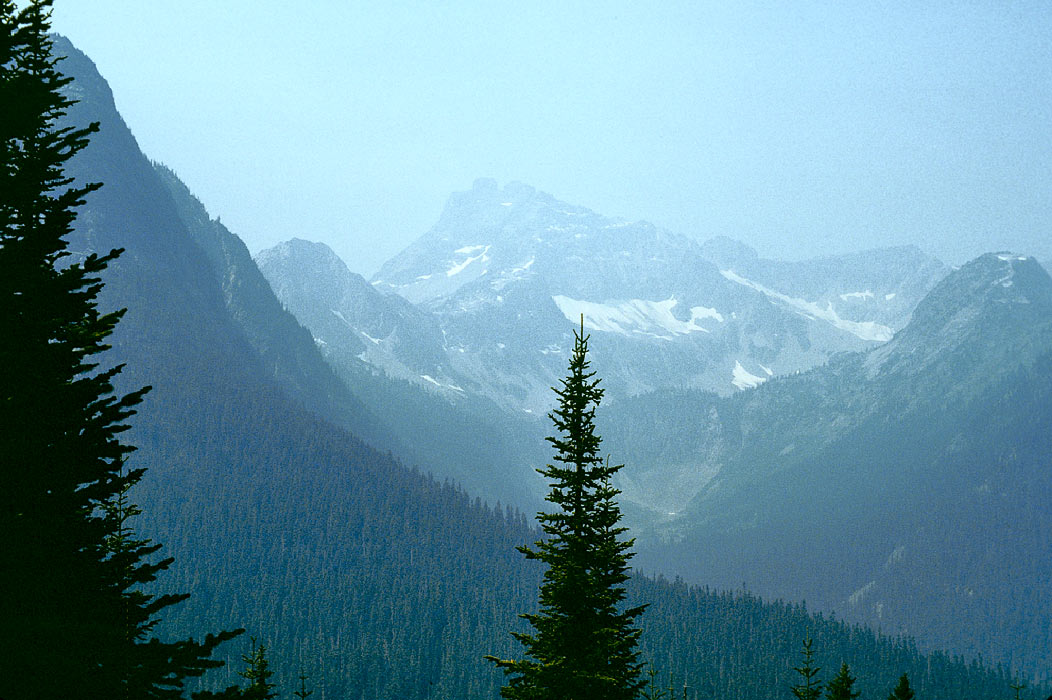 198507W3I21, ©Tim Medley