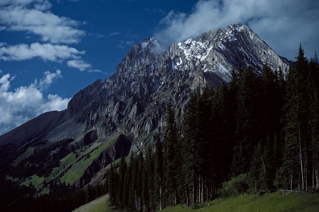 198707623 ©Tim Medley - Elpoca Mountain, Peter Lougheed Provinical Park, AB