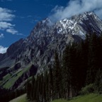 198707623.jpg